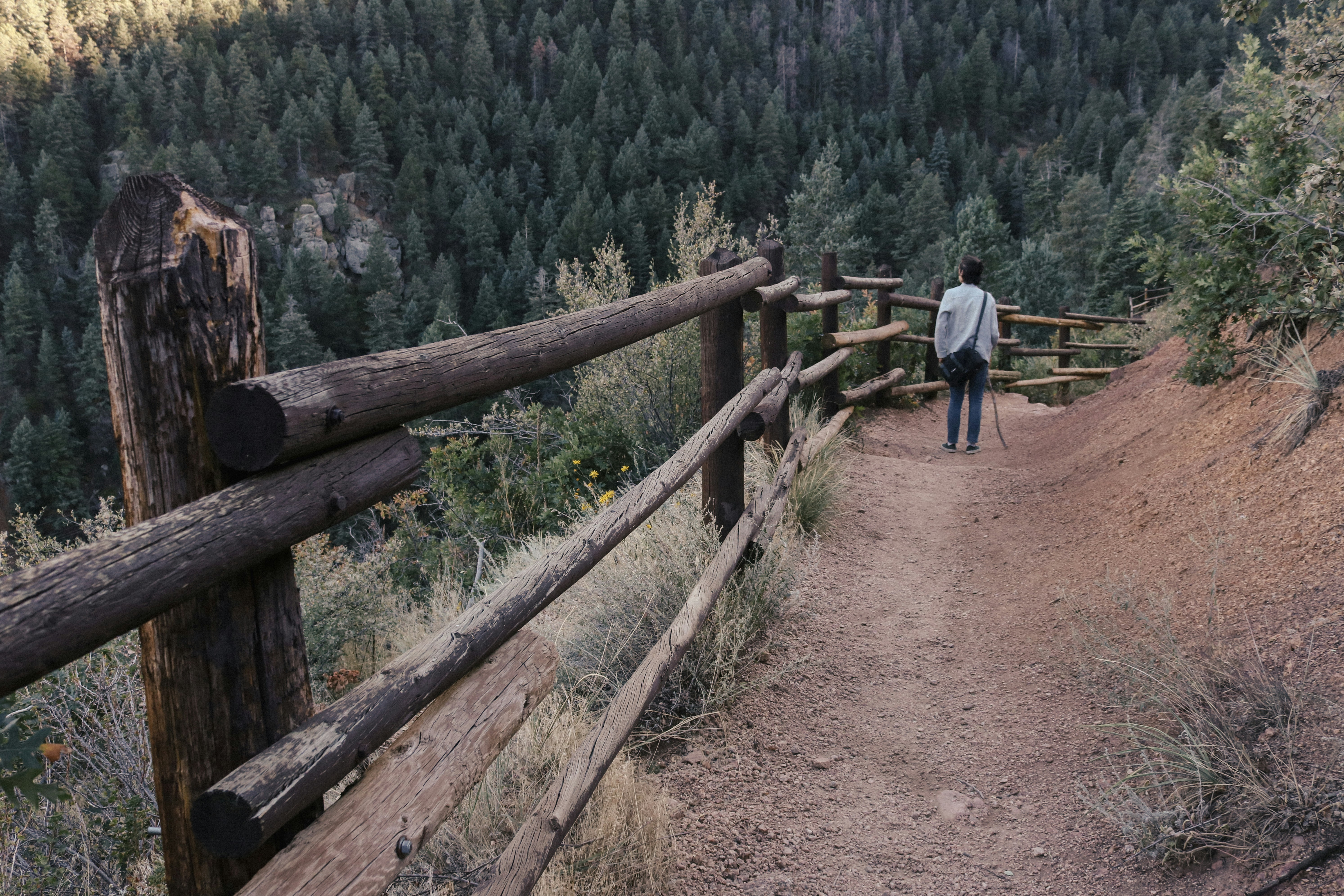 Why Choose OpenMeet? Because Connection Shouldn't Cost $24/Month